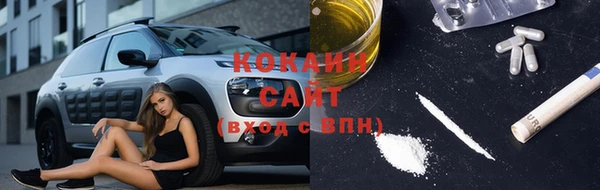 крисы Балахна