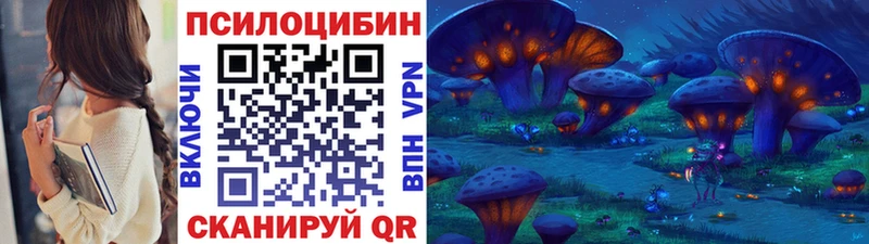 Купить закладки Моздок Псилоцибиновые грибы мицелий