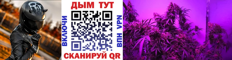 Каннабис план Купить закладки Моздок